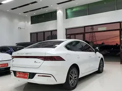 2023 BYD Qin PLUS 55KM, белый — фото 11