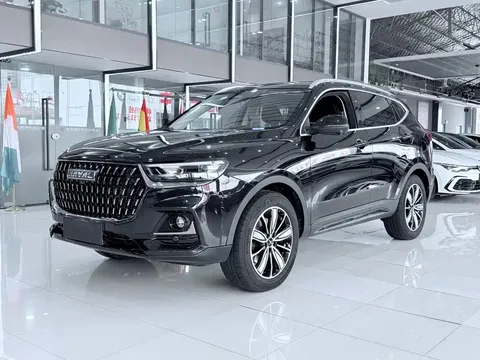 2023 Haval H6 1.5T AT Guochao Champion