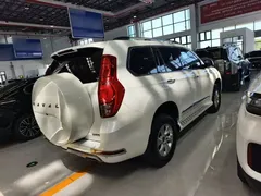 2020 Haval H9 2.0T Gasoline 4WD Elite 5-seat, белый — фото 10