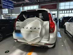 2020 Haval H9 2.0T Gasoline 4WD Elite 5-seat, белый — фото 12