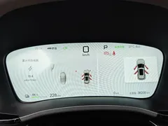 2025 BYD Song PLUS EV Smart Driving 520km Premium — фото 14
