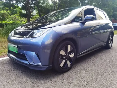 2023 BYD Dolphin 401km Knight