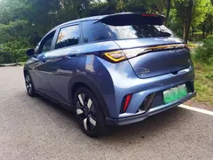 2023 BYD Dolphin 401km Knight — фото 4