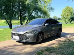 2023 BYD Qin PLUS DM-i 55KM — фото 1