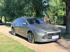2023 BYD Qin PLUS DM-i 55KM — фото 3