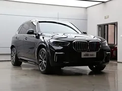 2022 BMW X5 30Li M, чёрный — фото 31