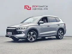 2024 BYD Song Pro 110KM — фото 1