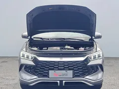 2024 BYD Song Pro 110KM — фото 7