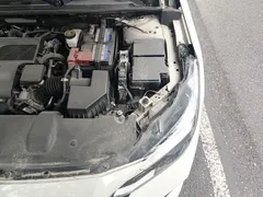 2022 Nissan Sylphy 1.6L XL CVT, белый — фото 20