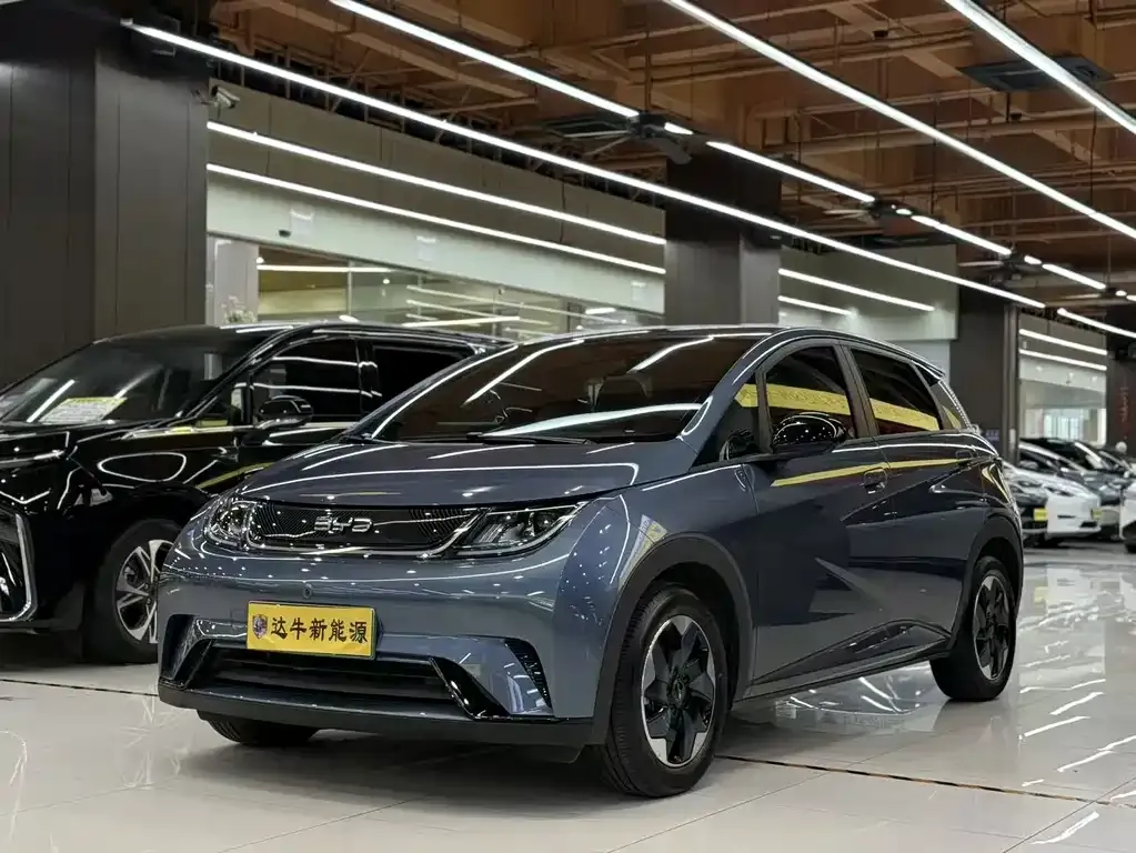 2025 BYD Dolphin 420km Freedom