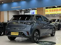 2025 BYD Dolphin 420km Freedom, синий — фото 6