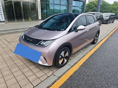 2023 BYD Dolphin 420km Fashion