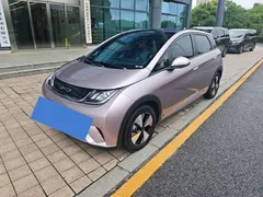 2023 BYD Dolphin 420km Fashion — фото 1