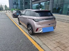 2023 BYD Dolphin 420km Fashion — фото 3