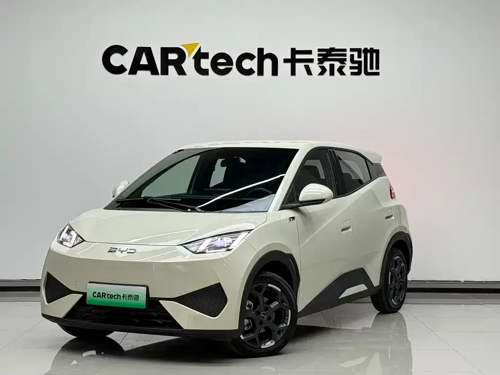 2025 BYD Seagull Smart Driving 405km Freedom