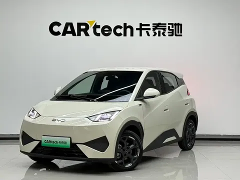 2025 BYD Seagull Smart Driving 405km Freedom