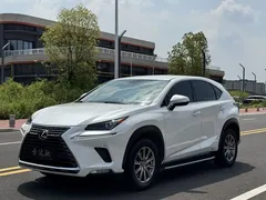 2020 Lexus NX 200 V, белый — фото 1