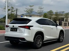 2020 Lexus NX 200 V, белый — фото 9