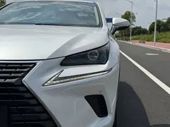 2020 Lexus NX 200 V, белый — фото 11