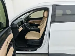 2025 BYD Song Pro 115KM, белый — фото 18