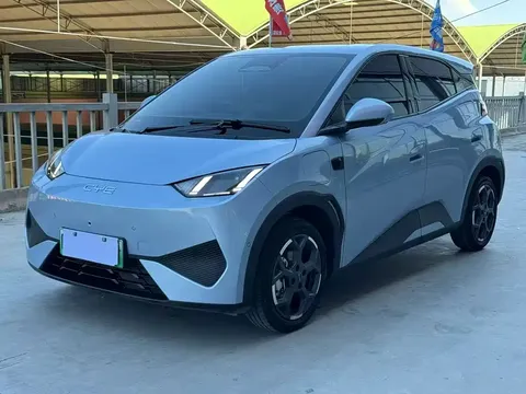 2025 BYD Seagull 305km