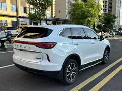2021 Haval H6 3rd Gen 1.5T AT 2WD Max, белый — фото 13