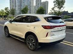 2021 Haval H6 3rd Gen 1.5T AT 2WD Max, белый — фото 15