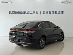 2024 BYD Destroyer 05 DM-i 55KM, чёрный — фото 12
