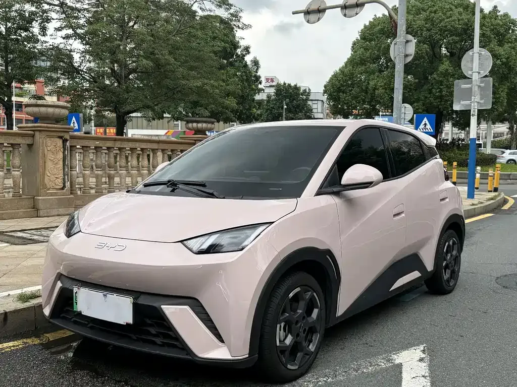 2025 BYD Seagull 305km