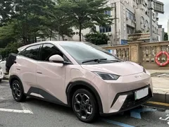 2025 BYD Seagull 305km — фото 4