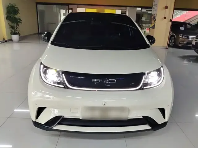 2023 BYD Dolphin 420km Fashion