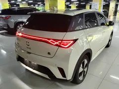 2023 BYD Dolphin 420km Fashion — фото 5