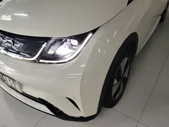 2023 BYD Dolphin 420km Fashion — фото 18