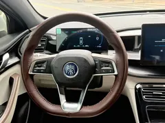 2025 BYD Seal 05 PLUS DM-i 55KM, белый — фото 10