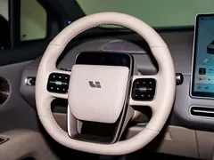 2025 Li Auto i6 2WD Standard — фото 15