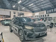 2022 Haval H6 1.5T AT 2WD Pro, чёрный — фото 8