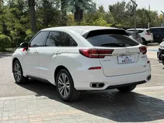 2020 Honda Avancier 240TURBO 2WD, белый — фото 9
