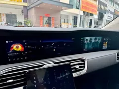 2022 Hongqi E-HS9 660km — фото 12