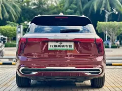 2022 Hongqi E-HS9 660km — фото 21