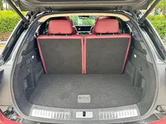 2022 Hongqi E-HS9 660km — фото 24