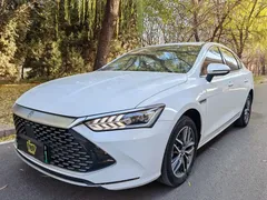 2024 BYD Qin PLUS 120KM, белый — фото 1