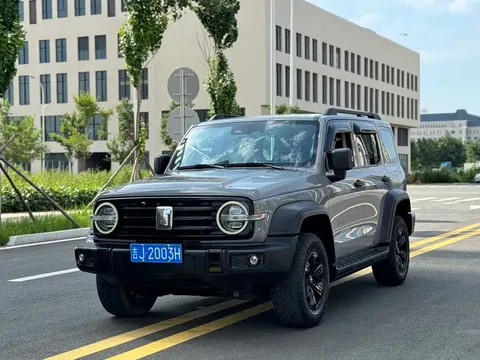 2021 Tank 300 2.0T
