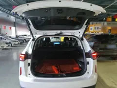 2021 Haval H6 1.5T AT 2WD Supreme, белый — фото 19