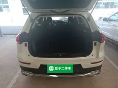 2021 Haval H6 1.5T AT, белый — фото 19