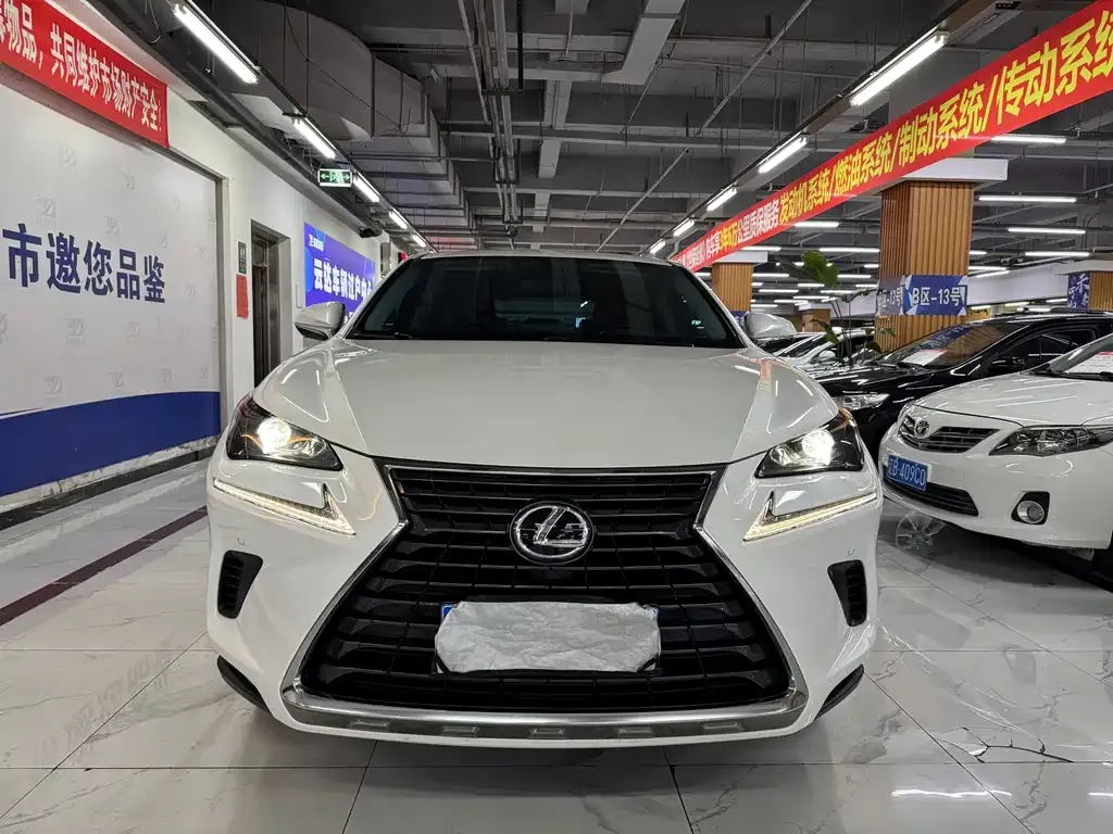 2020 Lexus NX 200 VI