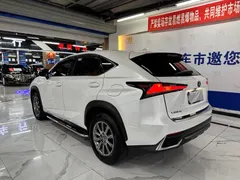2020 Lexus NX 200 VI, белый — фото 10