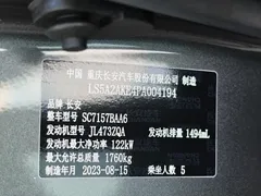2023 Changan Lamore NE 1.5T GDI DCT Premium — фото 14