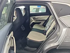 2021 BYD PLUS DM-i 51KM — фото 4