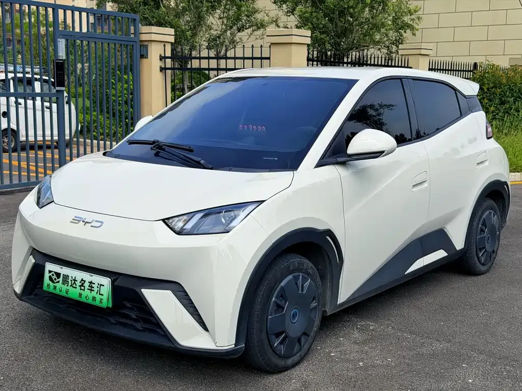 2025 BYD Seagull 305km Vitality