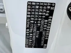 2022 Chery Tiggo 5x Super Hero 1.5L CVT Fashion, белый — фото 26